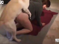 Top-Pornos mit einem Schwein auf einem Bauernhof – kostenlos ansehen auf ArtOfZо.