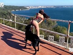 In einem verlassenen Gebäude hatte ein ukrainischer Soldat Sex mit einem Hund. Kostenlos ansehen