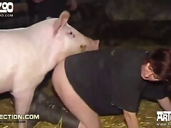 Eine Auswahl der besten Zoo-Pornos mit Tieren aller Art für jeden Geschmack – kostenlos ansehen.